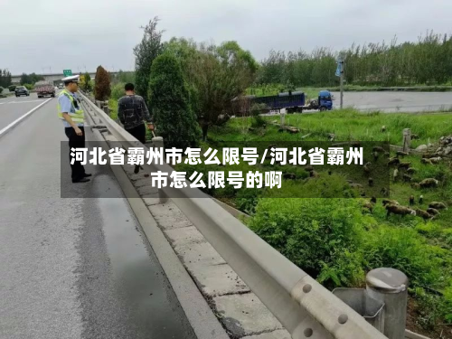 河北省霸州市怎么限号/河北省霸州市怎么限号的啊