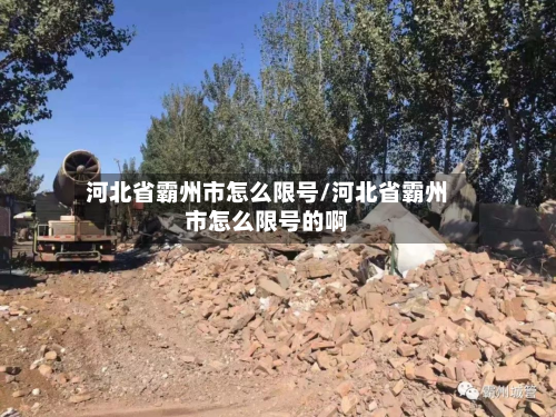 河北省霸州市怎么限号/河北省霸州市怎么限号的啊-第2张图片