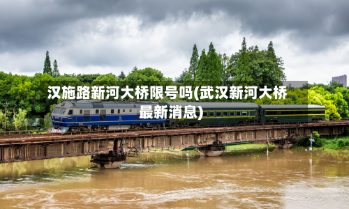 汉施路新河大桥限号吗(武汉新河大桥最新消息)