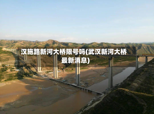 汉施路新河大桥限号吗(武汉新河大桥最新消息)-第3张图片