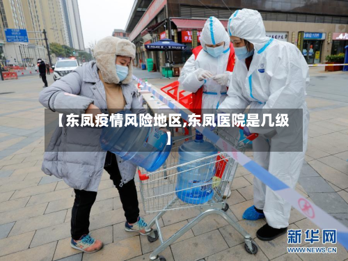 【东凤疫情风险地区,东凤医院是几级】