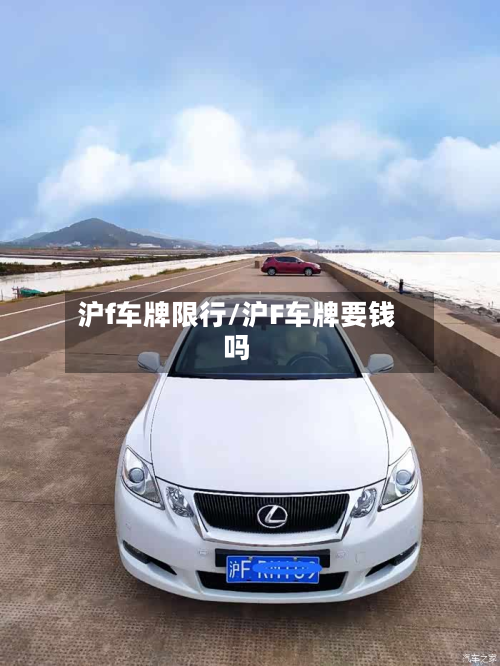 沪f车牌限行/沪F车牌要钱吗-第2张图片