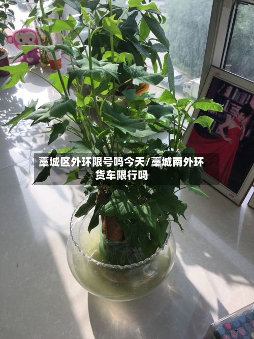 藁城区外环限号吗今天/藁城南外环货车限行吗