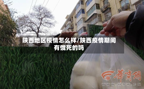 陕西地区疫情怎么样/陕西疫情期间有饿死的吗-第3张图片