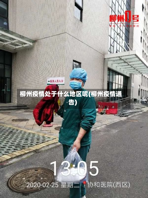 柳州疫情处于什么地区呢(柳州疫情通告)-第2张图片