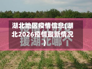湖北地区疫情信息(湖北2026疫情最新情况)-第3张图片