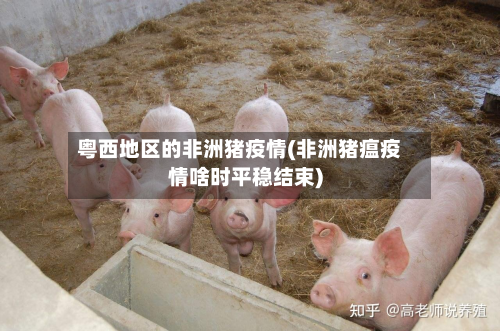 粤西地区的非洲猪疫情(非洲猪瘟疫情啥时平稳结束)
