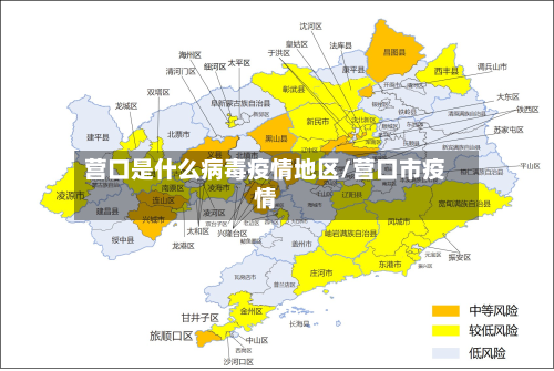 营口是什么病毒疫情地区/营口市疫情