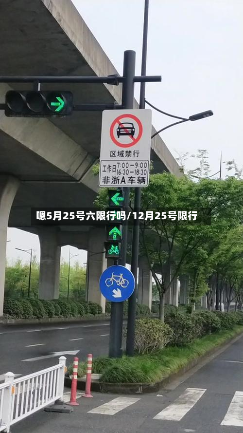 嗯5月25号六限行吗/12月25号限行