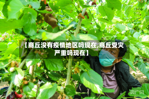 【商丘没有疫情地区吗现在,商丘受灾严重吗现在】