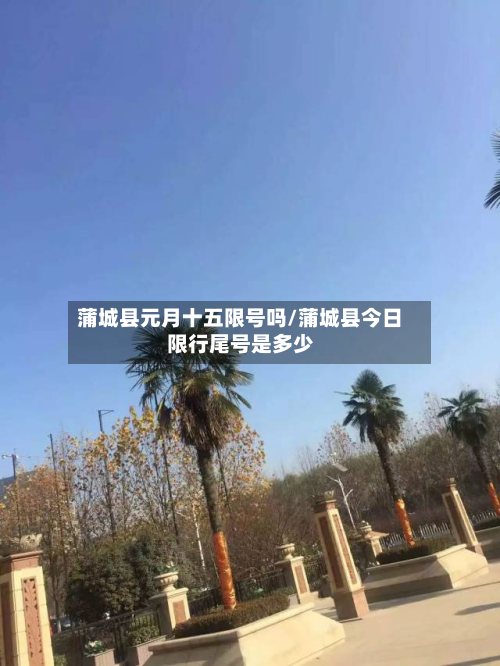 蒲城县元月十五限号吗/蒲城县今日限行尾号是多少