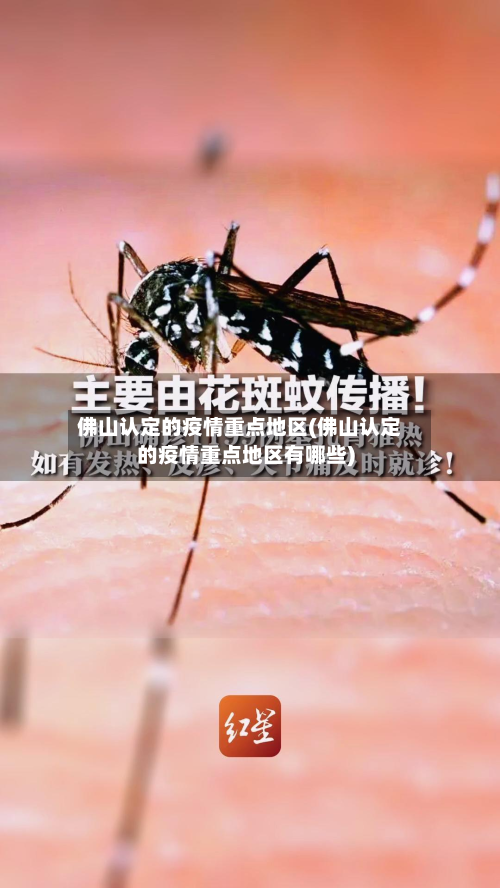 佛山认定的疫情重点地区(佛山认定的疫情重点地区有哪些)-第2张图片