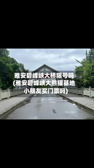 雅安碧峰峡大桥限号吗(雅安碧峰峡大熊猫基地小朋友买门票吗)