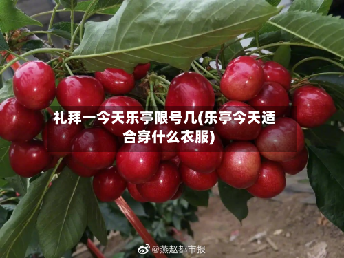礼拜一今天乐亭限号几(乐亭今天适合穿什么衣服)