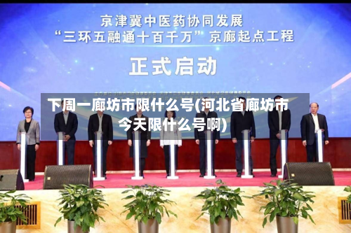 下周一廊坊市限什么号(河北省廊坊市今天限什么号啊)-第2张图片