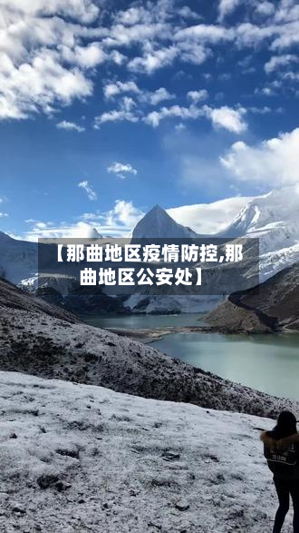 【那曲地区疫情防控,那曲地区公安处】