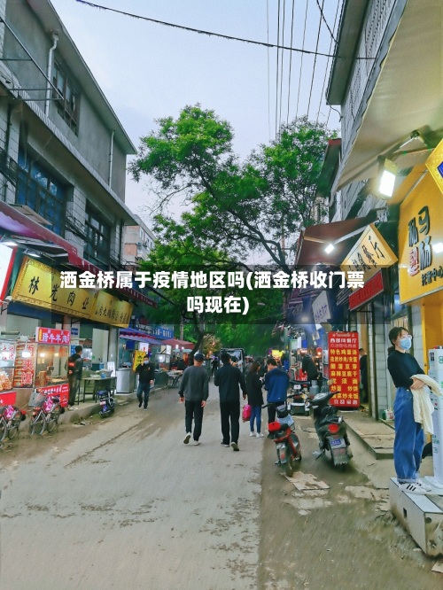 洒金桥属于疫情地区吗(洒金桥收门票吗现在)