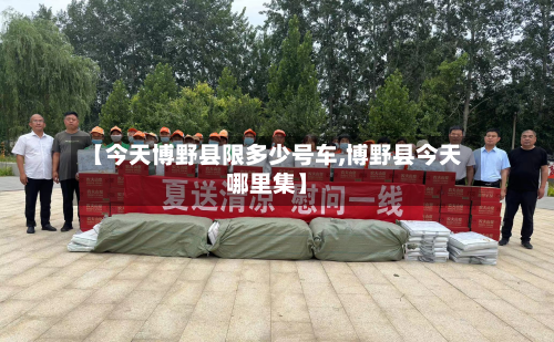 【今天博野县限多少号车,博野县今天哪里集】