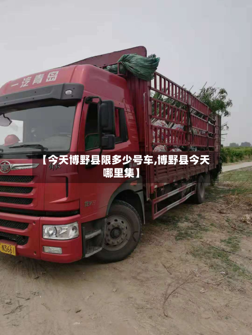 【今天博野县限多少号车,博野县今天哪里集】-第2张图片