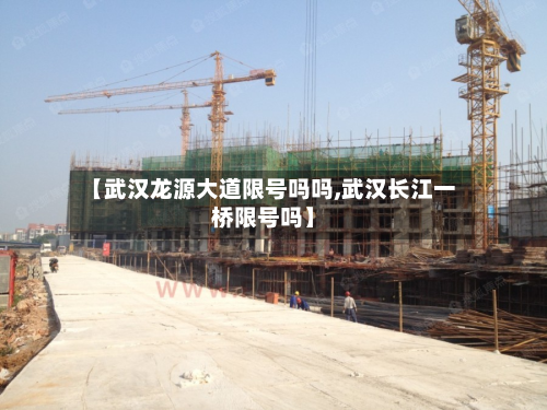 【武汉龙源大道限号吗吗,武汉长江一桥限号吗】
