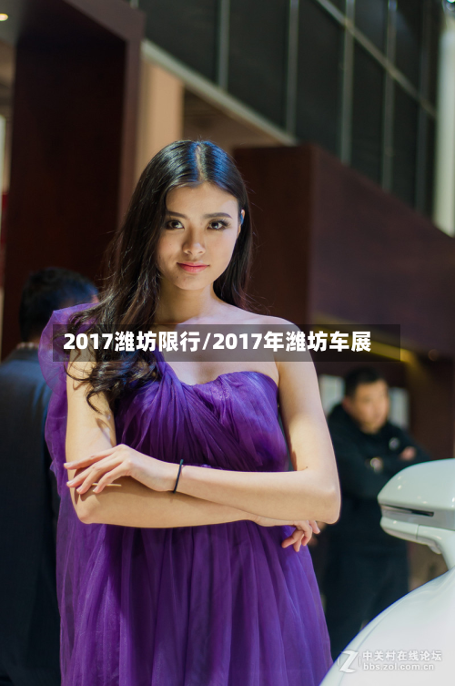 2017潍坊限行/2017年潍坊车展-第3张图片