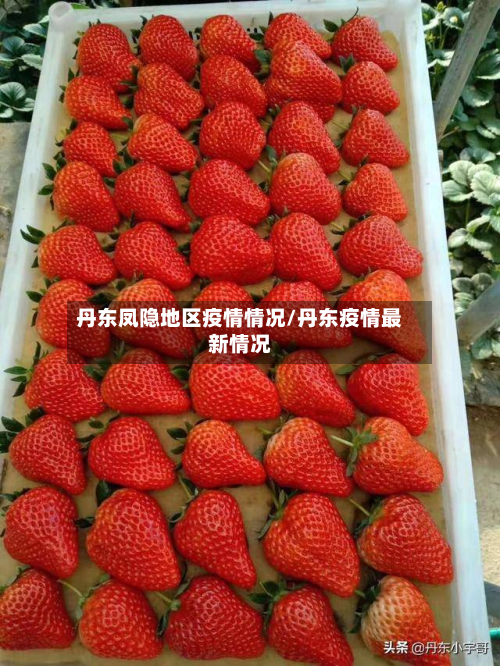 丹东凤隐地区疫情情况/丹东疫情最新情况-第2张图片
