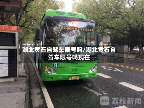 湖北黄石自驾车限号吗/湖北黄石自驾车限号吗现在-第2张图片