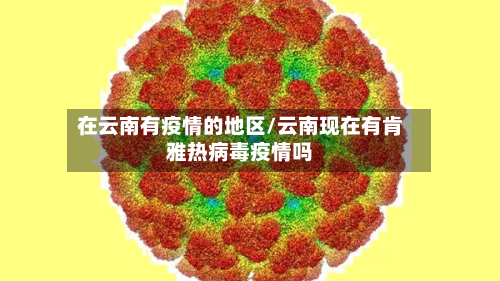 在云南有疫情的地区/云南现在有肯雅热病毒疫情吗