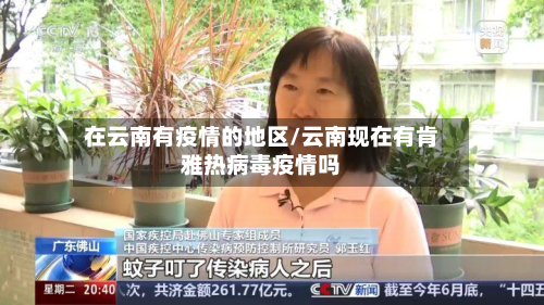在云南有疫情的地区/云南现在有肯雅热病毒疫情吗-第2张图片