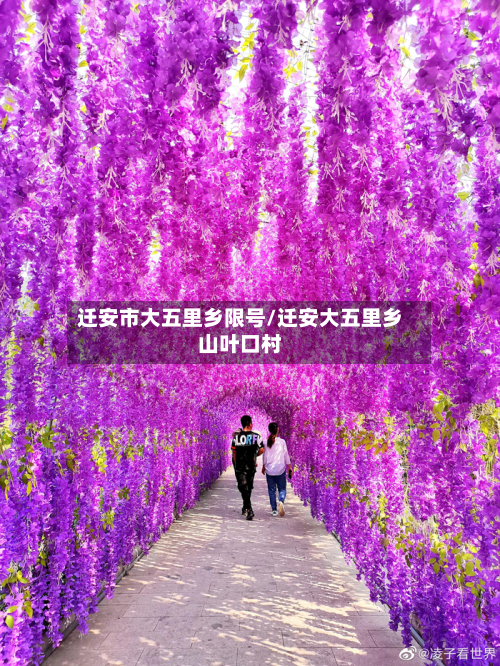 迁安市大五里乡限号/迁安大五里乡山叶口村