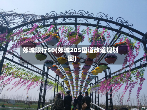 郯城限行50(郯城205国道改道规划图)