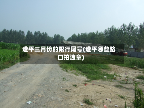 遂平三月份的限行尾号(遂平哪些路口拍违章)