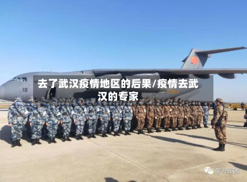 去了武汉疫情地区的后果/疫情去武汉的专家-第2张图片