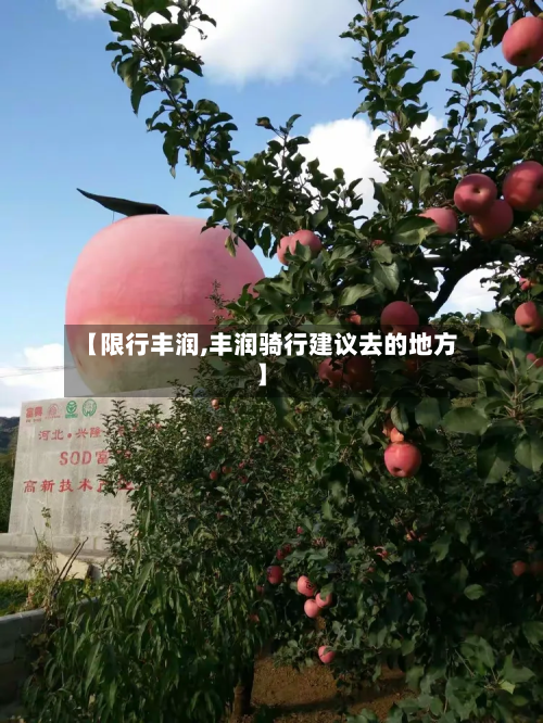 【限行丰润,丰润骑行建议去的地方】-第3张图片