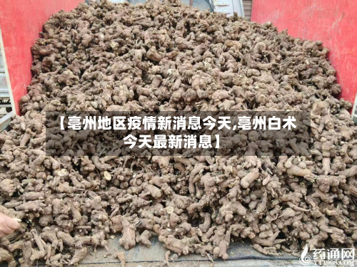 【亳州地区疫情新消息今天,亳州白术今天最新消息】