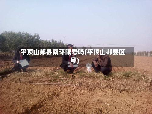 平顶山郏县南环限号吗(平顶山郏县区号)-第3张图片