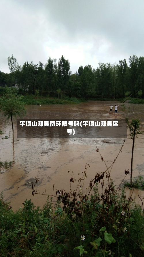 平顶山郏县南环限号吗(平顶山郏县区号)