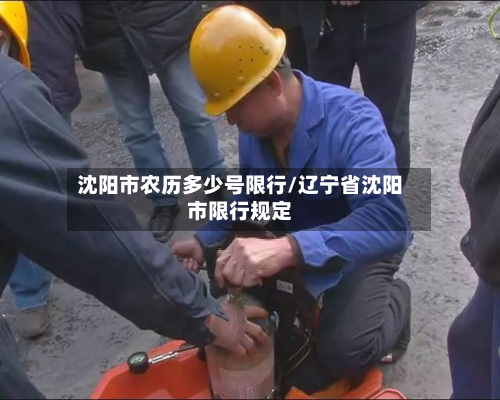 沈阳市农历多少号限行/辽宁省沈阳市限行规定