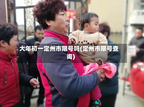 大年初一定州市限号吗(定州市限号查询)