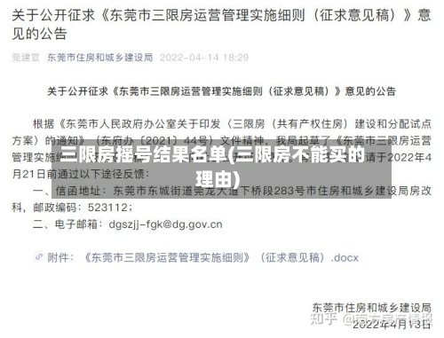 三限房摇号结果名单(三限房不能买的理由)-第2张图片