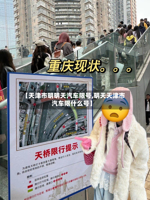 【天津市明明天汽车限号,明天天津市汽车限什么号】