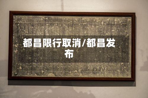 都昌限行取消/都昌发布-第3张图片