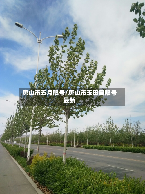 唐山市五月限号/唐山市玉田县限号最新-第2张图片