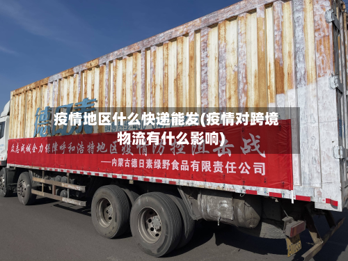 疫情地区什么快递能发(疫情对跨境物流有什么影响)-第2张图片