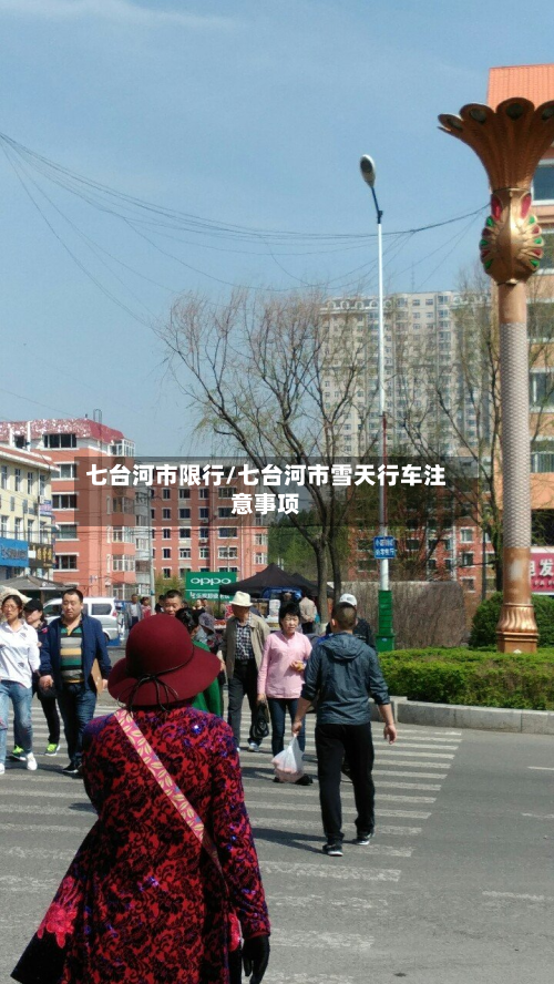七台河市限行/七台河市雪天行车注意事项