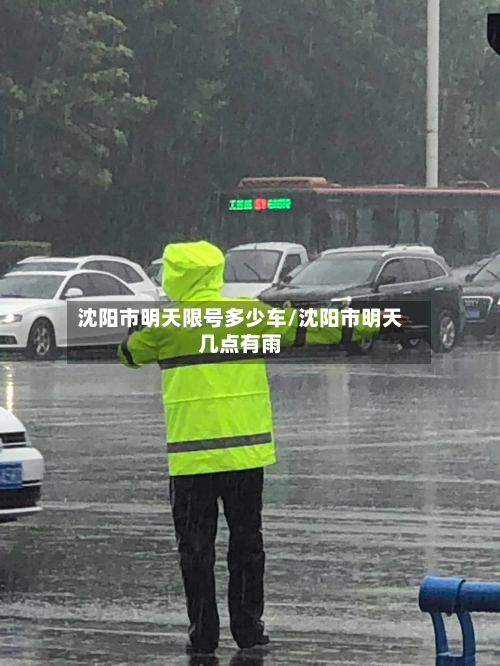 沈阳市明天限号多少车/沈阳市明天几点有雨