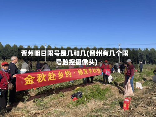 晋州明日限号是几和几(晋州有几个限号监控摄像头)