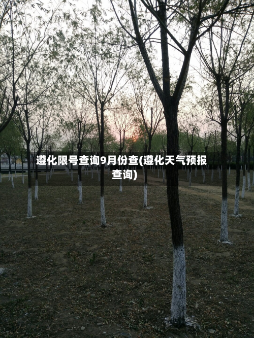 遵化限号查询9月份查(遵化天气预报查询)