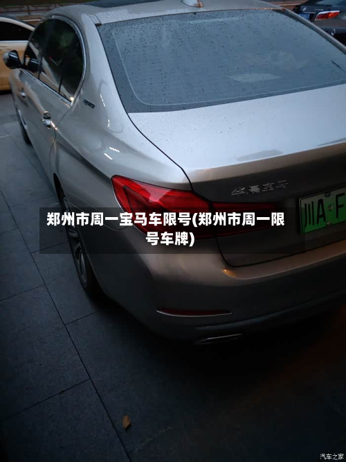 郑州市周一宝马车限号(郑州市周一限号车牌)-第3张图片