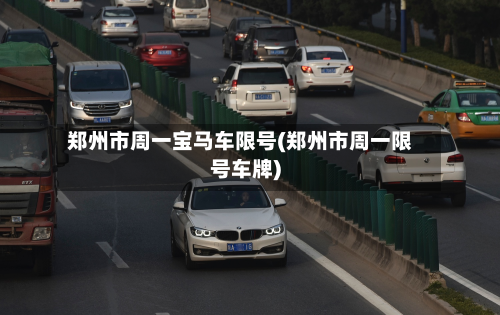 郑州市周一宝马车限号(郑州市周一限号车牌)-第2张图片